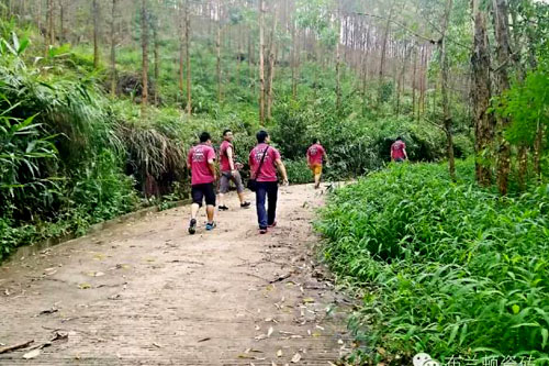 不怕艰辛勇闯高峰