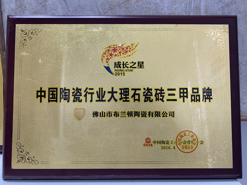 布兰顿大理石瓷砖